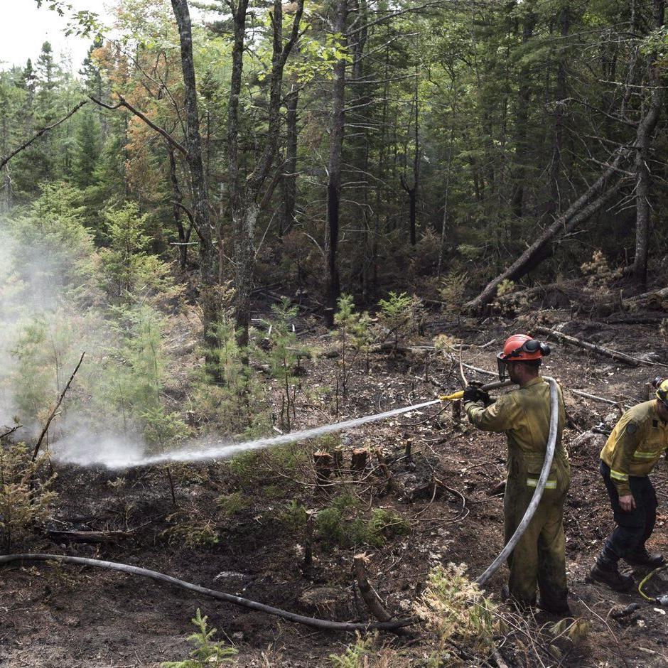Some residents allowed to return after forest fire in Halifax area prompts evacuation